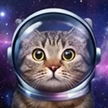 Котик